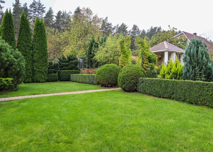 garden landscaping 1