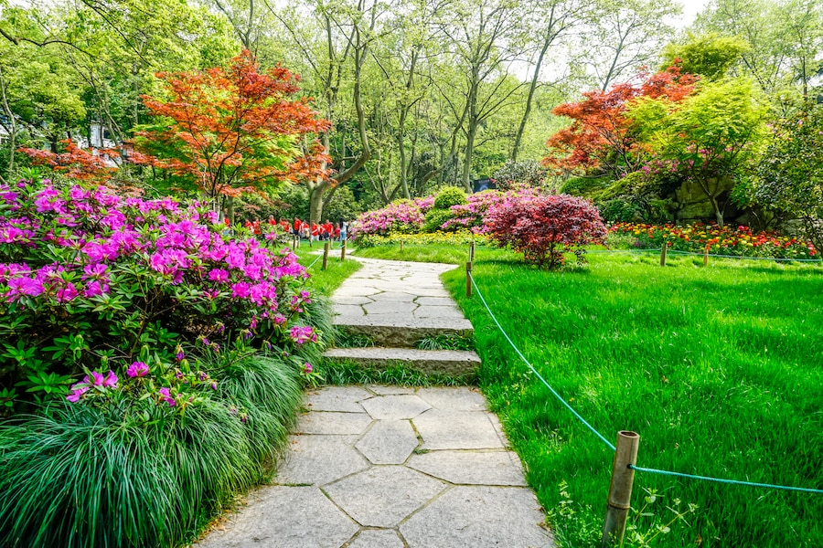 garden landscaping 2